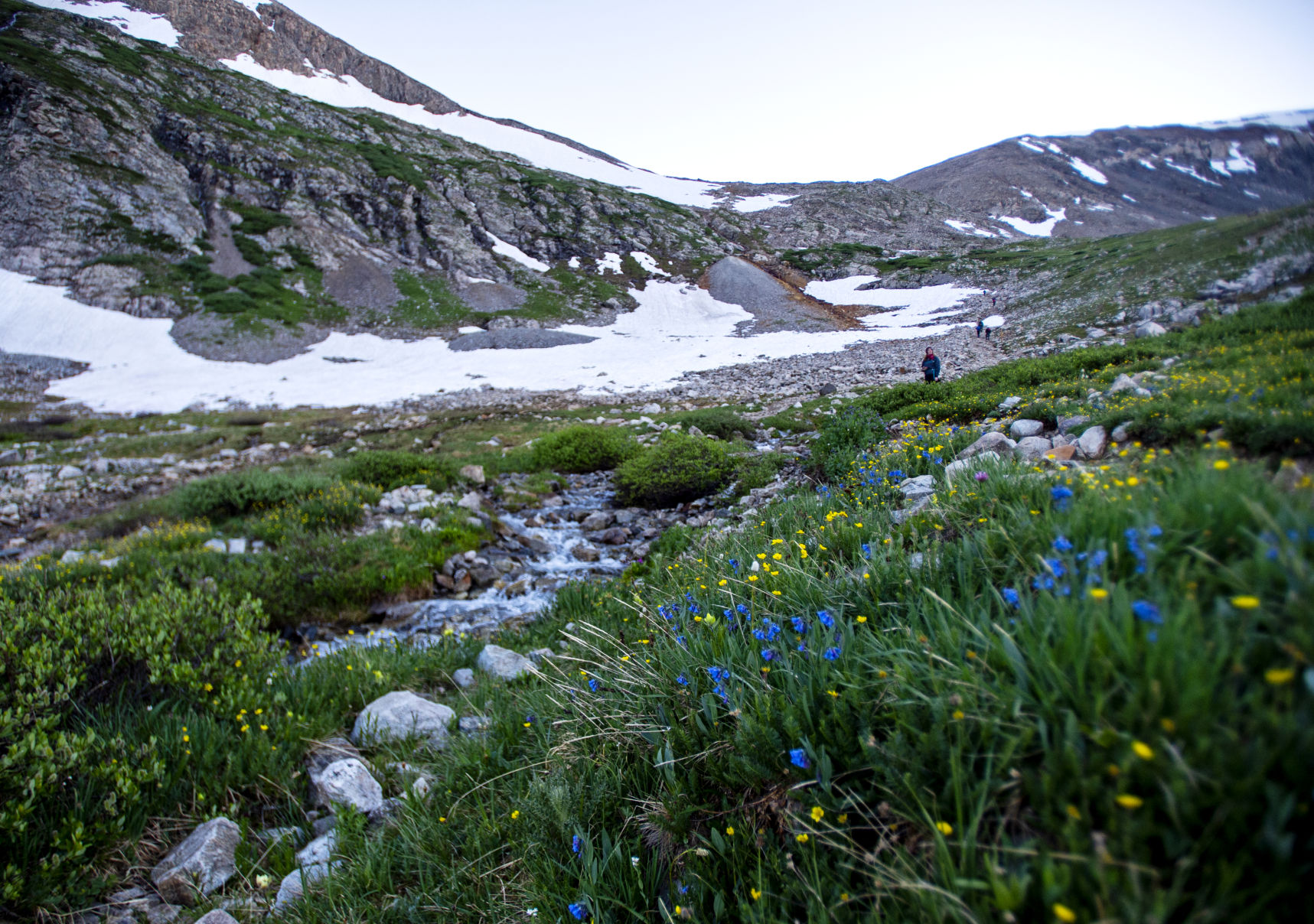 Mount Democrat 23 .JPG